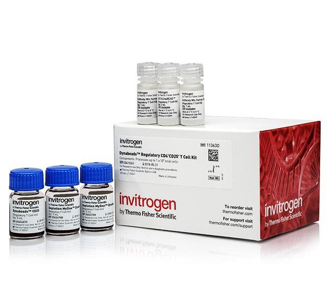 Dynabeads Regulatory CD4+CD25+T Cell | 製品情報 | ベリタス